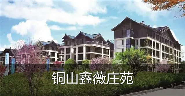 铜山鑫薇庄苑