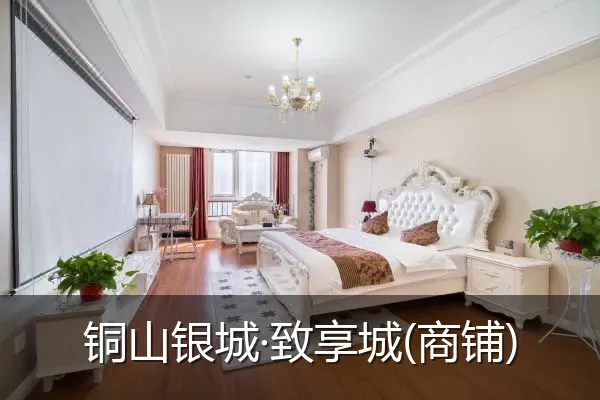 铜山银城·致享城(商铺)