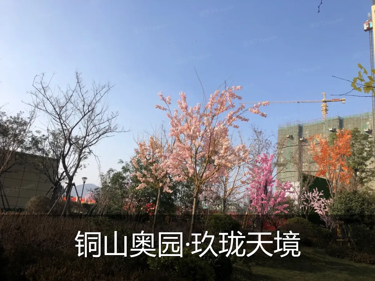 铜山奥园·玖珑天境